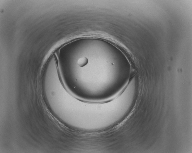 X0000083611506200702260914