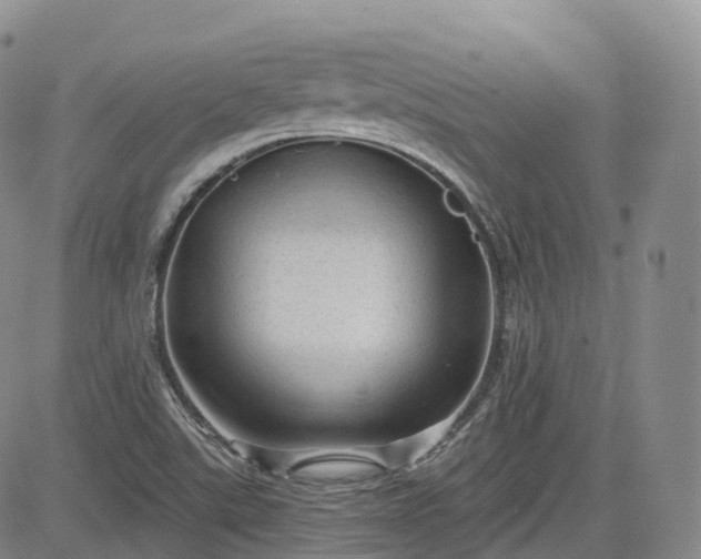 X0000083611507200702260914