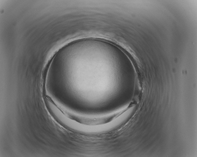 X0000083611508200702260914