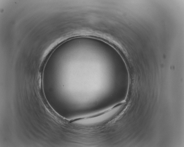 X0000083611509200702260914