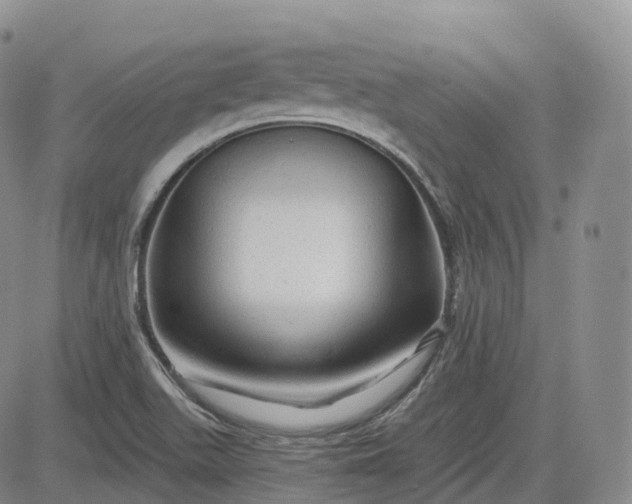 X0000083611511200702260914