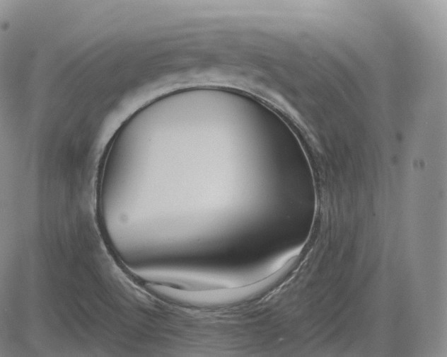 X0000083611512200702260915