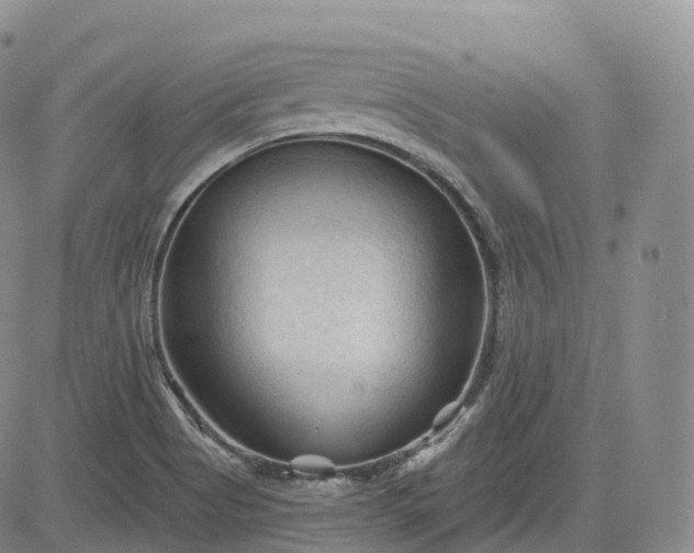 X0000083611513200702260915