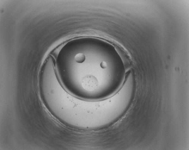 X0000083611514200702260915