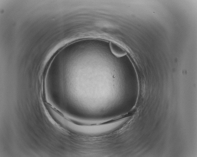 X0000083611515200702260915