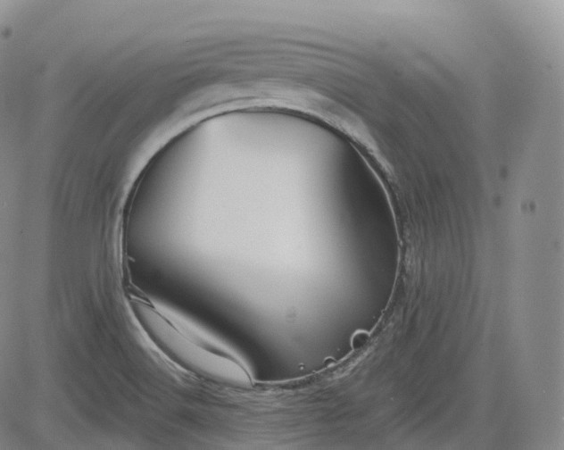 X0000083611516200702260915