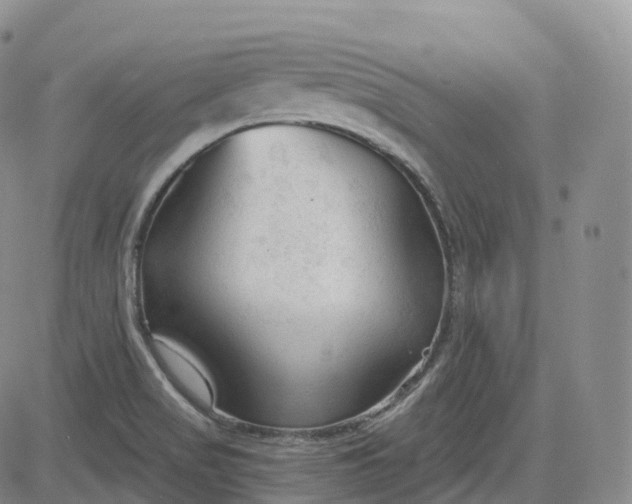 X0000083611517200702260915