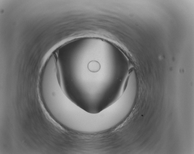 X0000083611518200702260915