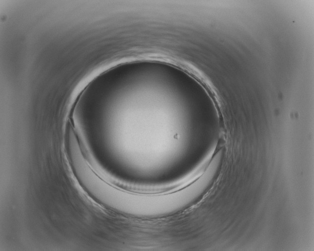 X0000083611520200702260915