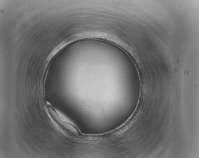 X0000083611521200702260915