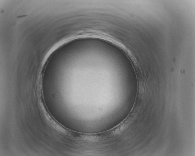 X0000083611522200702260915