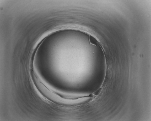 X0000083611523200702260915