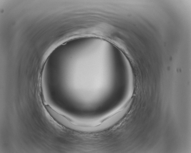 X0000083611524200702260915