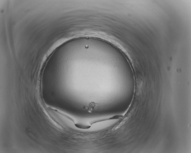 X0000083611525200702260915