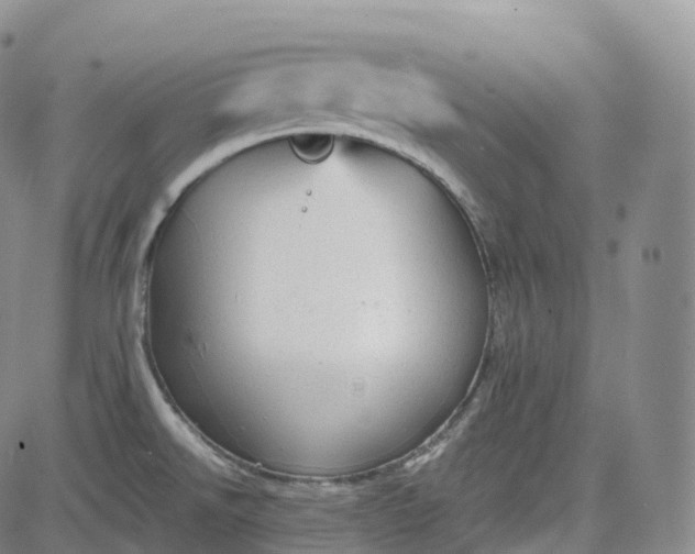 X0000083611526200702260915