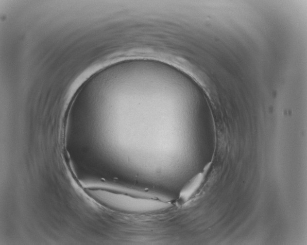 X0000083611527200702260915