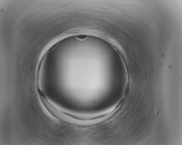 X0000083611528200702260915