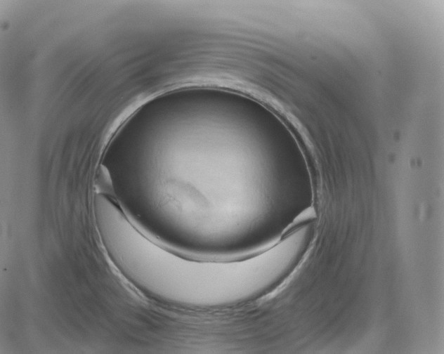 X0000083611529200702260915