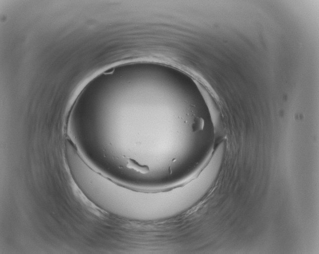 X0000083611532200702260915