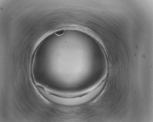 X0000083611533200702260915