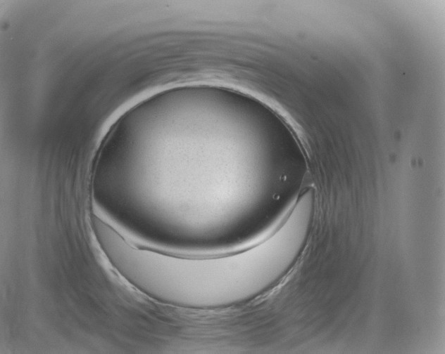 X0000083611534200702260915