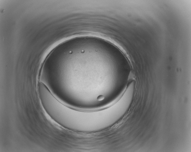 X0000083611535200702260915