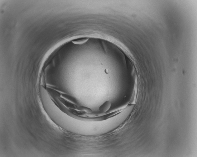 X0000083611536200702260915