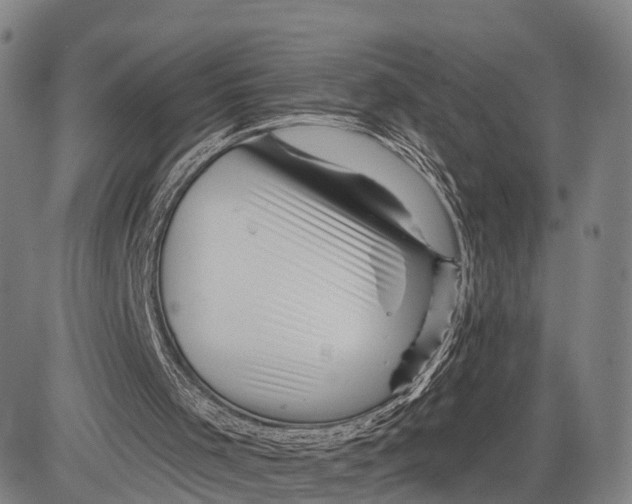 X0000083610001200703051555