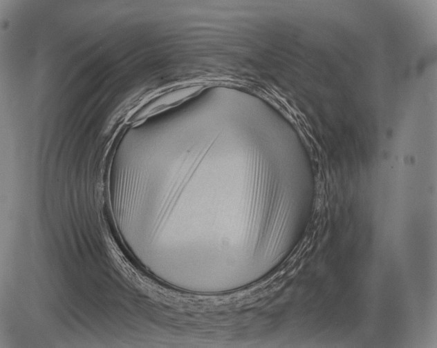 X0000083610002200703051555