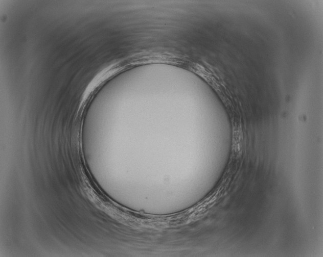 X0000083610004200703051555