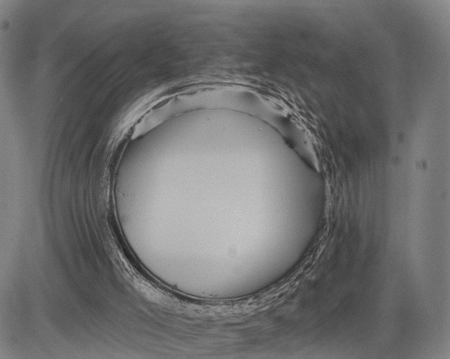 X0000083610005200703051555