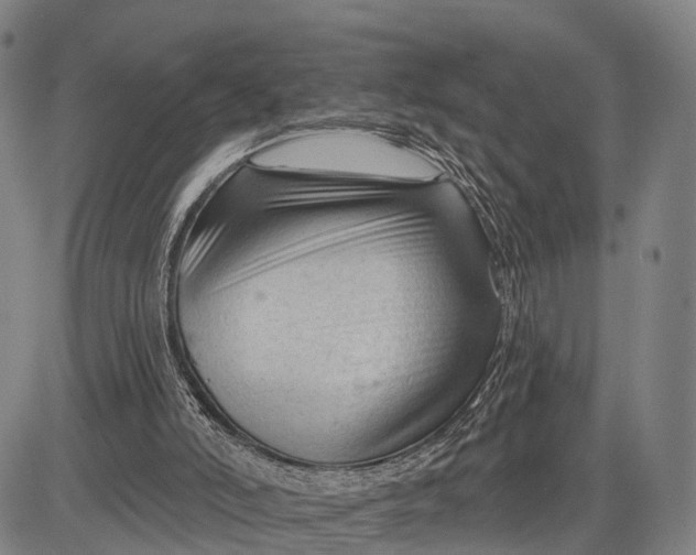 X0000083610006200703051555