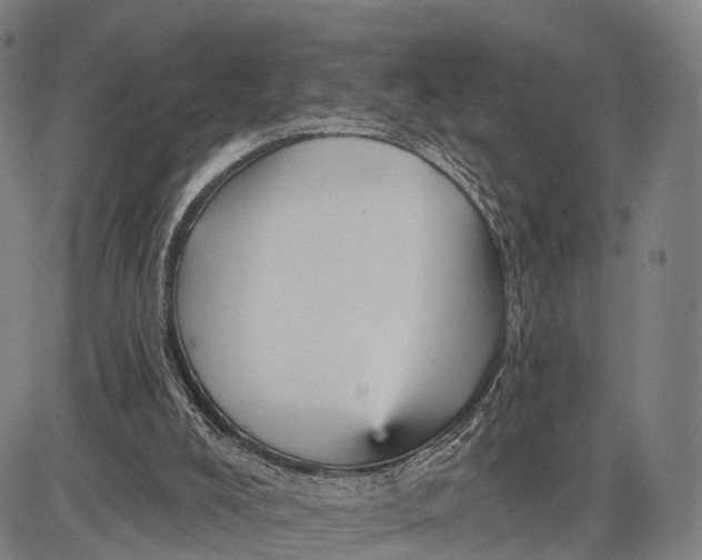 X0000083610008200703051555