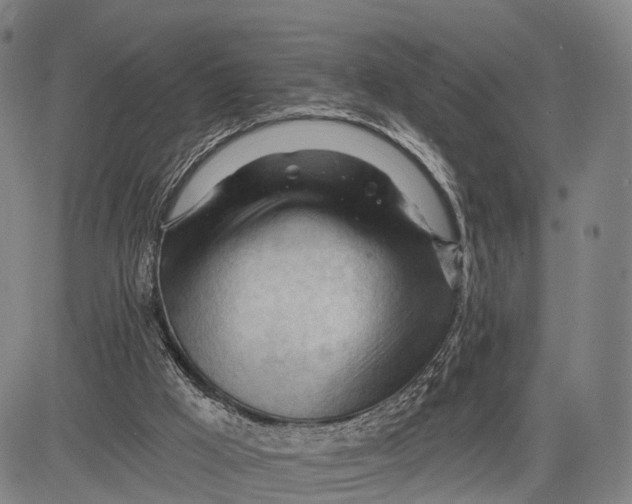 X0000083610009200703051555