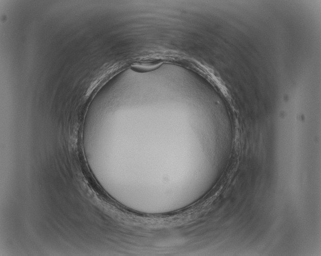 X0000083610010200703051555