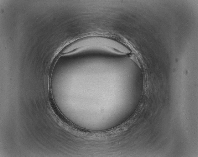 X0000083610011200703051555