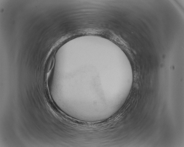 X0000083610012200703051555