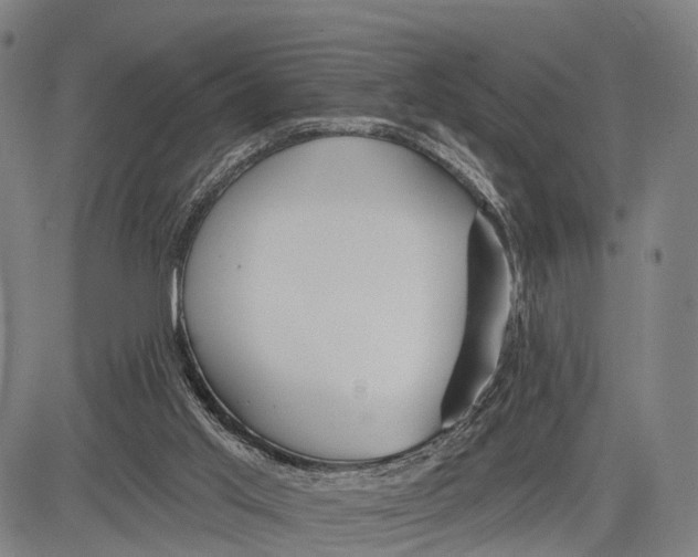 X0000083610013200703051555