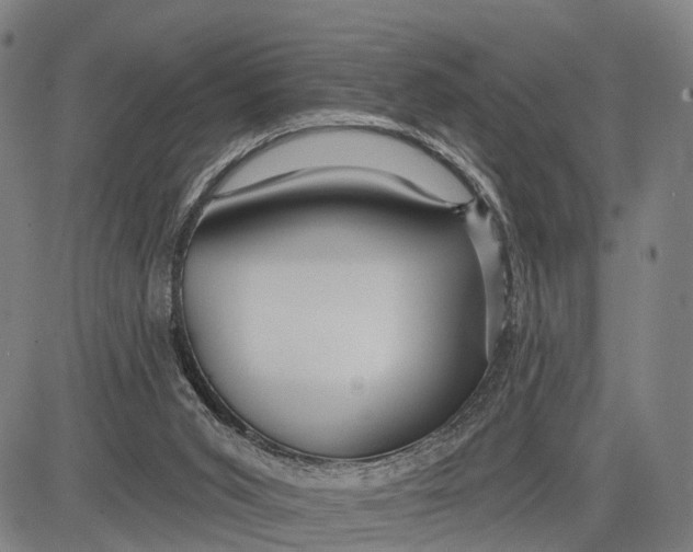 X0000083610015200703051555