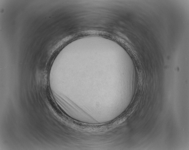 X0000083610016200703051555