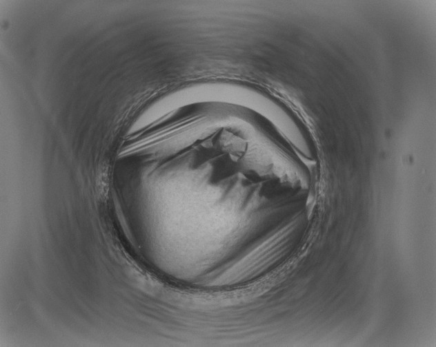 X0000083610017200703051555