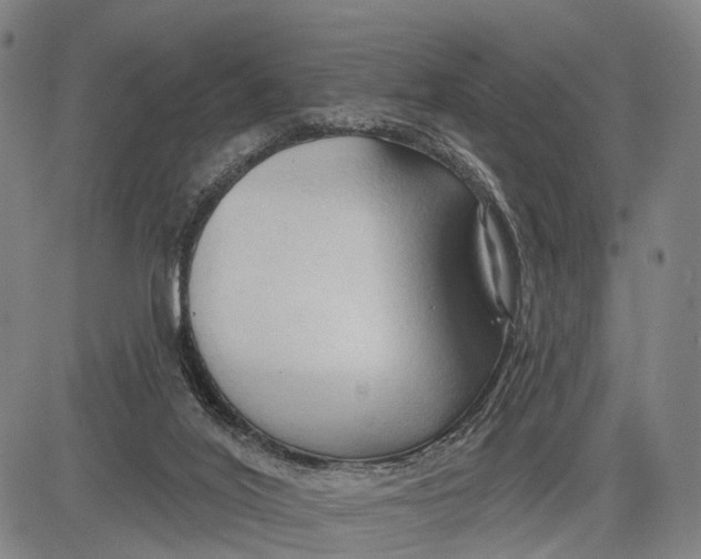 X0000083610020200703051555