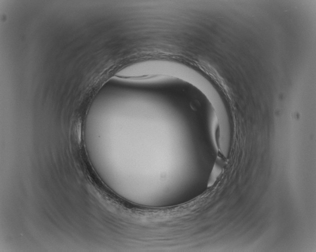 X0000083610021200703051555