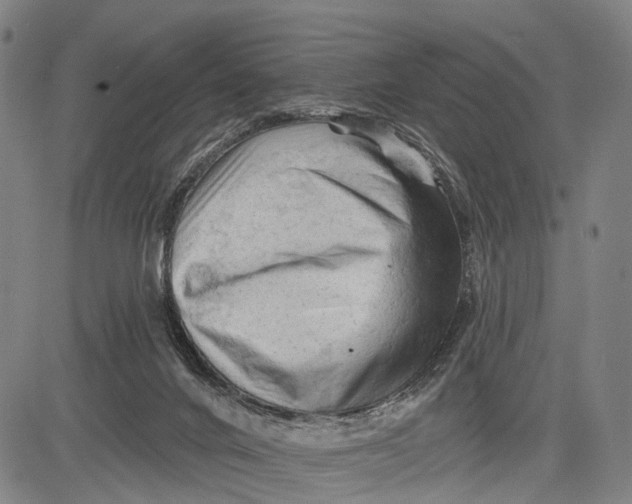 X0000083610024200703051555