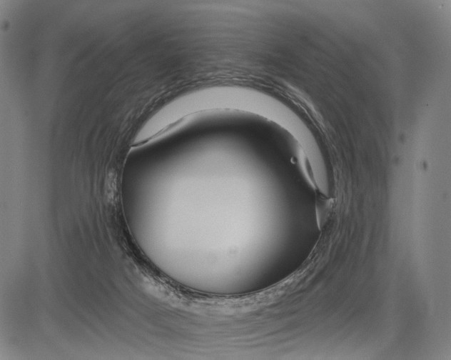 X0000083610025200703051555