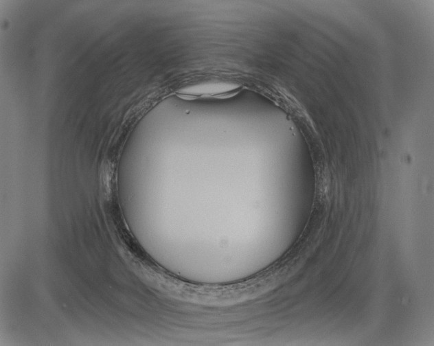 X0000083610026200703051555