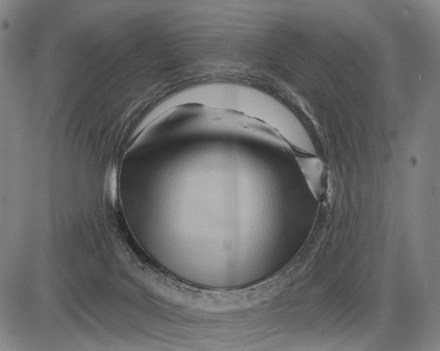 X0000083610027200703051555