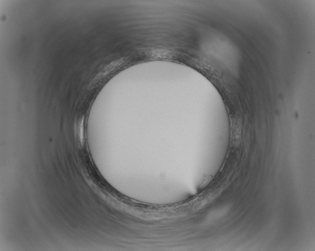 X0000083610028200703051555