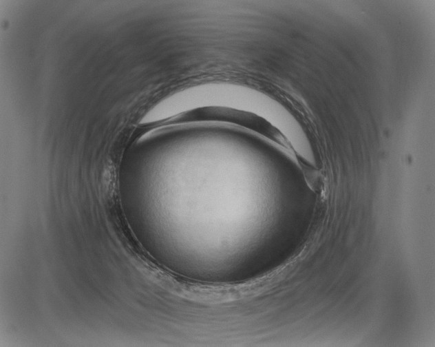 X0000083610029200703051555