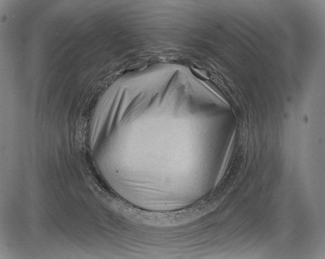 X0000083610030200703051555